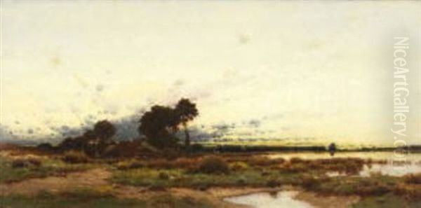 Moorlandschaft - view 1