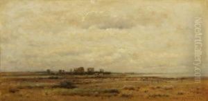 Flache Wiesenlandschaft
