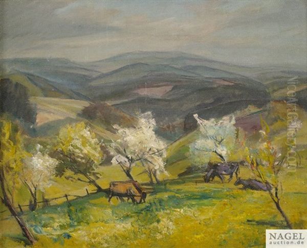 Bodenseelandschaft Im Fruhling - view 1