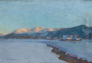 Zakopane - Winter Landscape