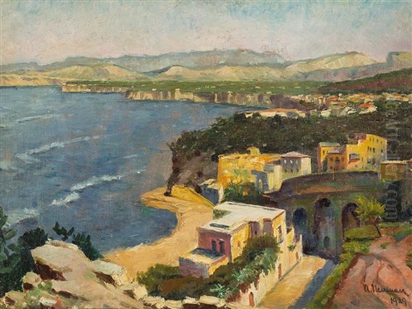 Coastal Landscape With Houses - view 1