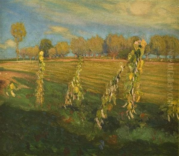 Pejzaz Z Dziewannami - view 1