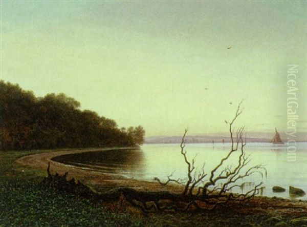Aftenstemning, Moesgard Strand Med Arhus I Baggrunden - view 1