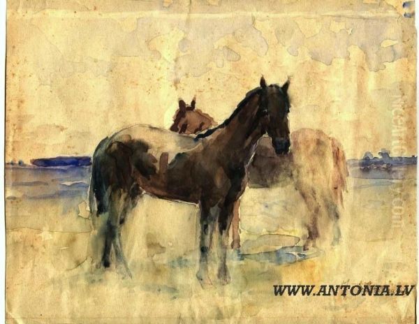 Horses - view 1