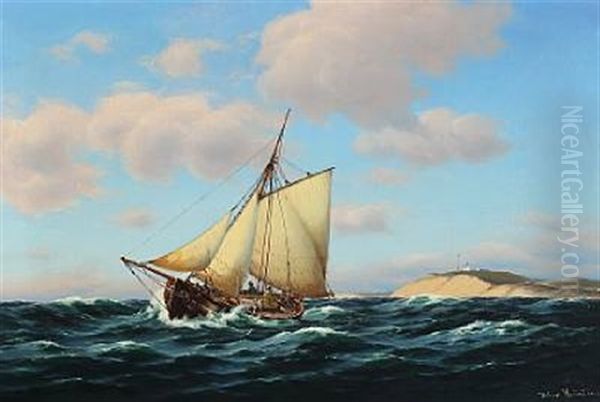 Udfor Spodsbjerg Fyr Ved Isefjorden - view 1