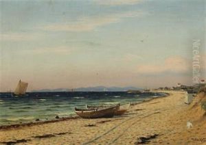 Beach Scenery With Numerous Ships On The Horizon Beach Scenery With Numerous Ships On The Horizon