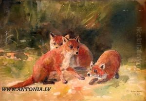 Fox-cub