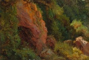 Felsen Bei Nemi by Eugen Neureuther