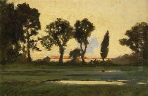 Abendliche Landschaft Mit Prachtvollen Baumsilhouetten Und Kleinem Tumpel Abendliche Landschaft Mit Prachtvollen Baumsilhouetten Und Kleinem Tumpel