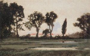 Abendliche Teichlandschaft Mit Busch- Und Baumwerk Im Verfarbten Gegenlicht