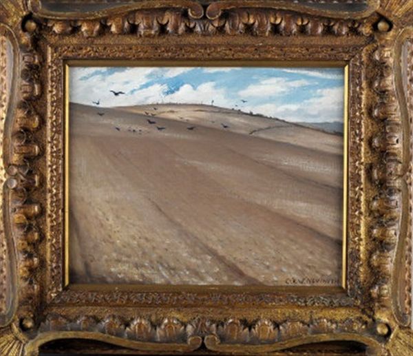 Earth - view 1