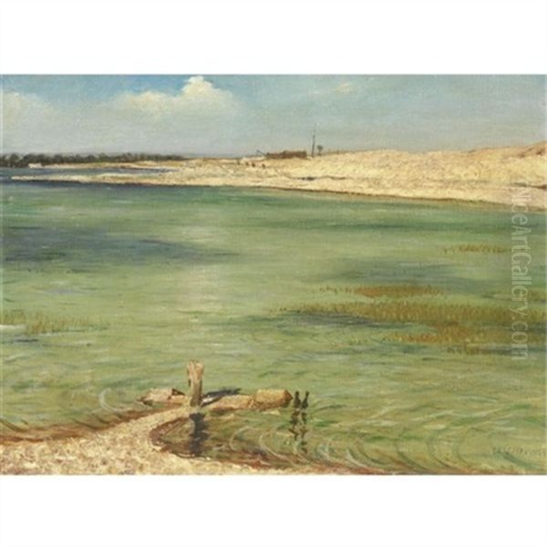 Shoreline - view 1