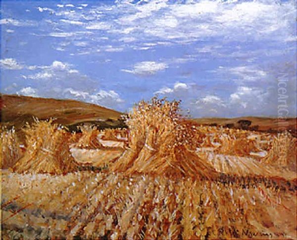 The Torn Cornfield - view 1