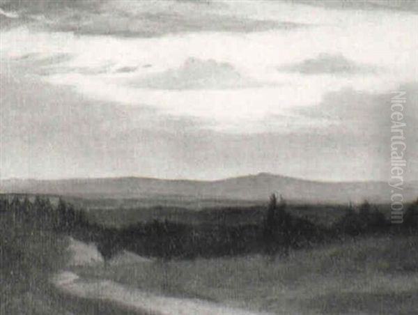 The Sandy Path - view 1