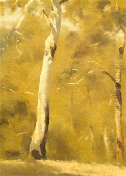 Greenwood Trees, Australia (+ Another; 2 Works) - view 1