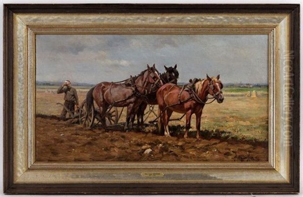 Paysan Et Attelage Au Travail - view 1
