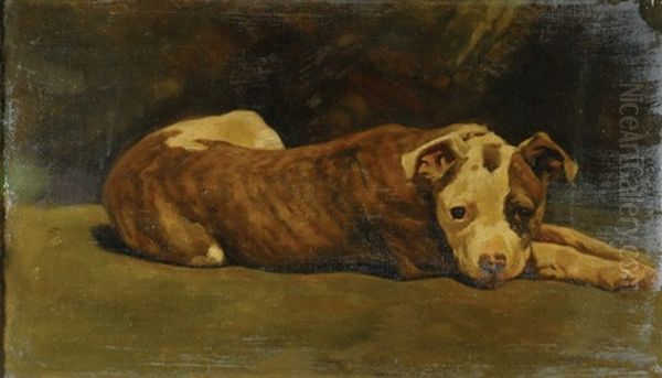 An Observant Friend At Rest - view 1