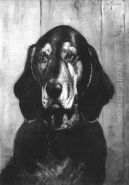 Bloodhound Head Study - view 1