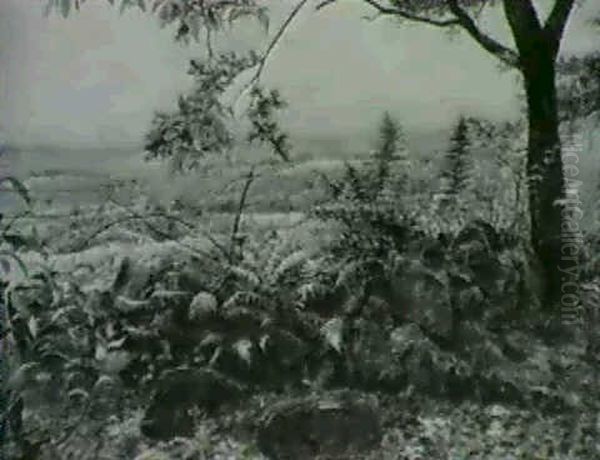 A View Across The Valey - view 1