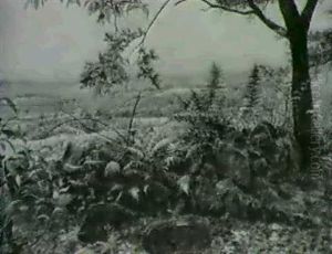 A View Across The Valey