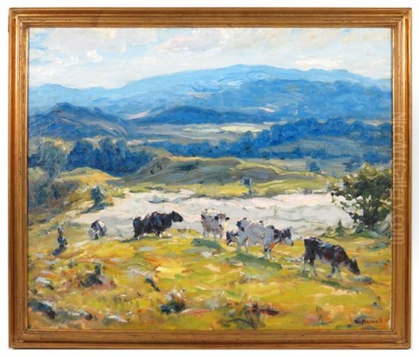 Cows In Hilly Pasture - view 1