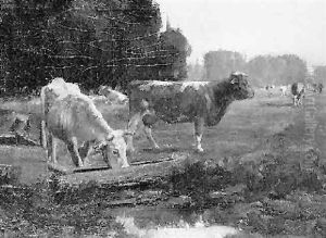 Cows At Waterhole