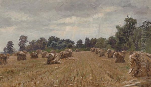 Hayfields - view 1