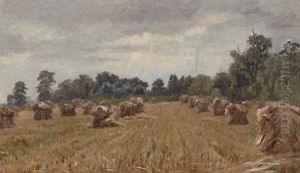 Hayfields by Hugh Newell