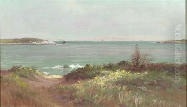 On The Coast - view 1