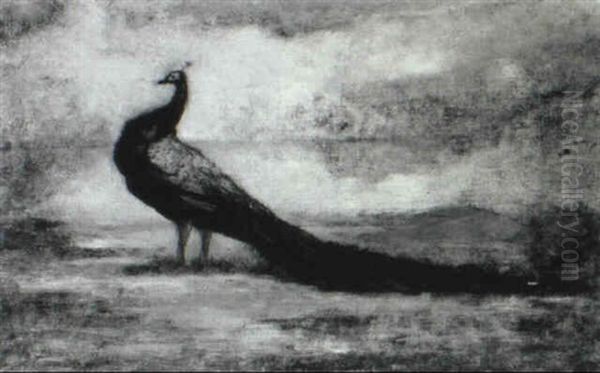 The Peacock - view 1