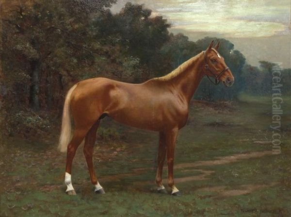 Portrait De Cheval - view 1