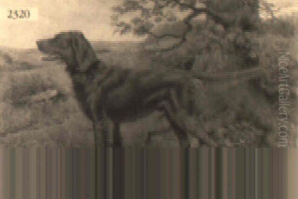 Irish Setter In A Fall Landscape - view 1
