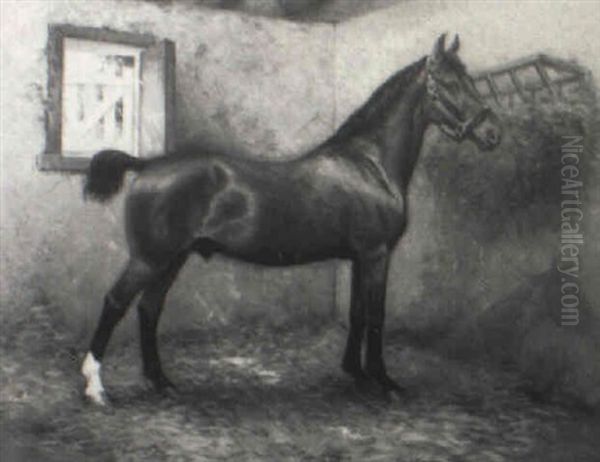 Portrait Of The Horse 'nala' - view 1