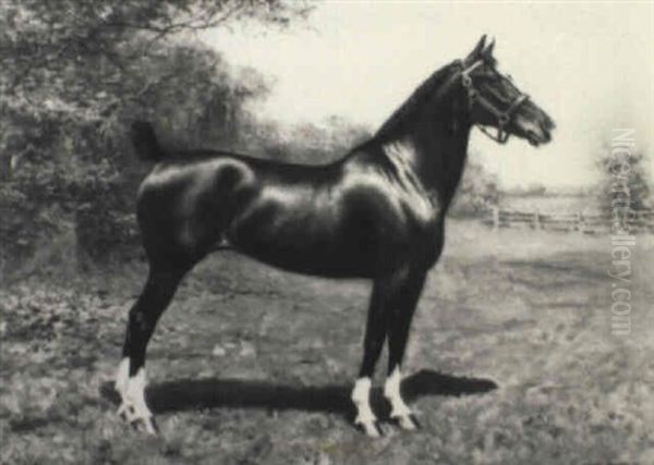 Portrait Of The Horse 'lady Dilham' - view 1