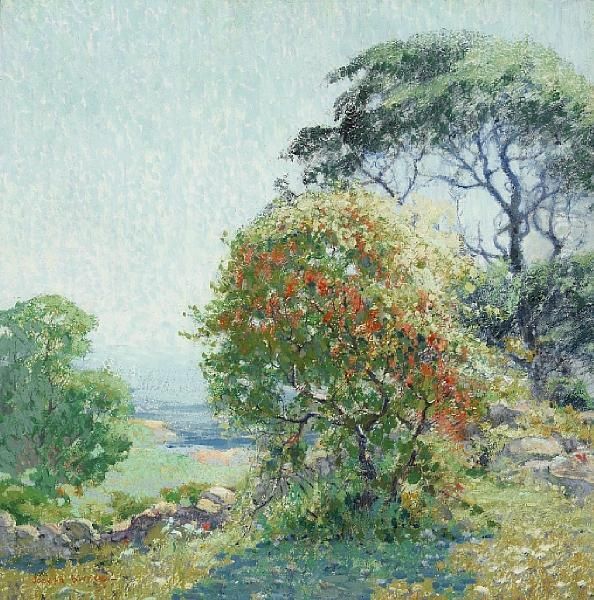 Wild Cherries In A Lush Landscape - view 1