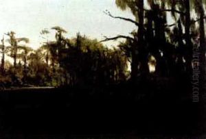 The Bayou