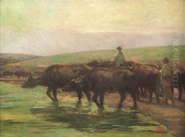 Bafallo Herd - view 1