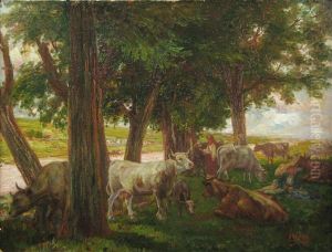 In The Shade In The Shade