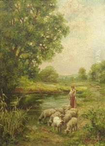 Watering Sheep Watering Sheep