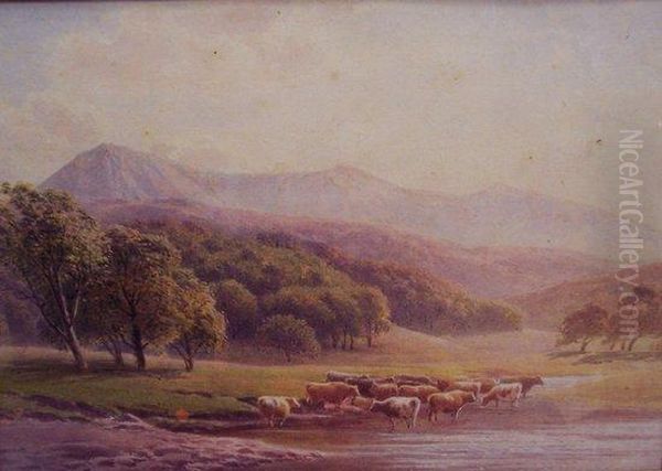 Cattle Watering - view 1