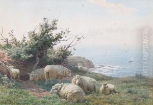 Sheep Resting In A Coastal Field by Henry Birtles