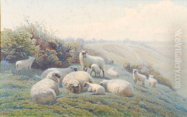 Sheepon A Hillside - view 1