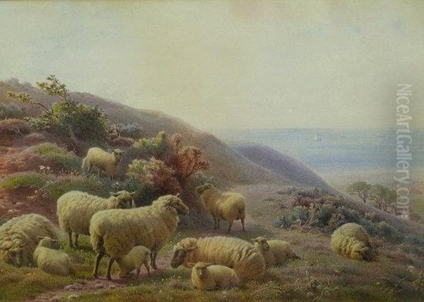 Sheep By The Coast - view 1