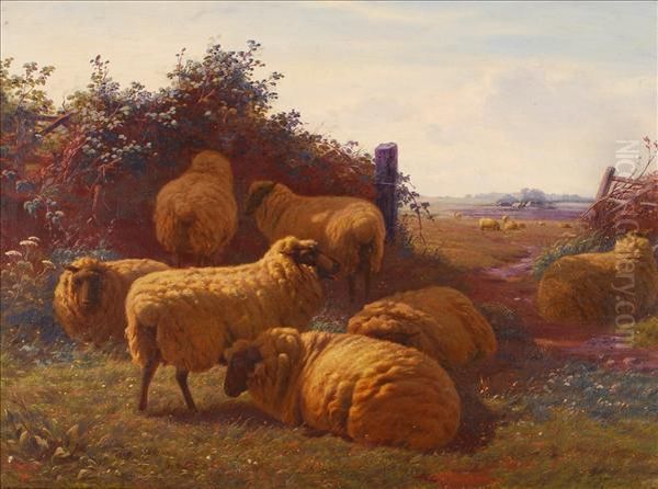 Sheep At A Gateway - view 1