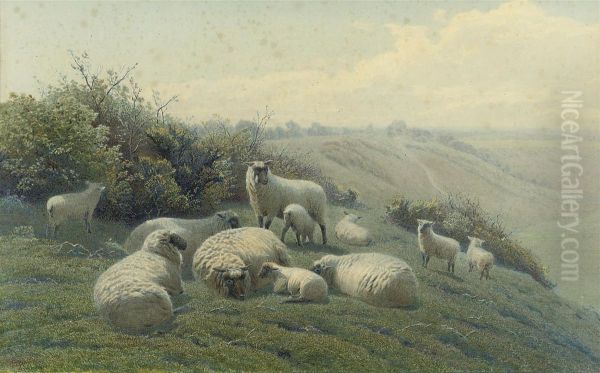 Sheep On A Hillside - view 1