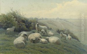 Sheep On A Hillside