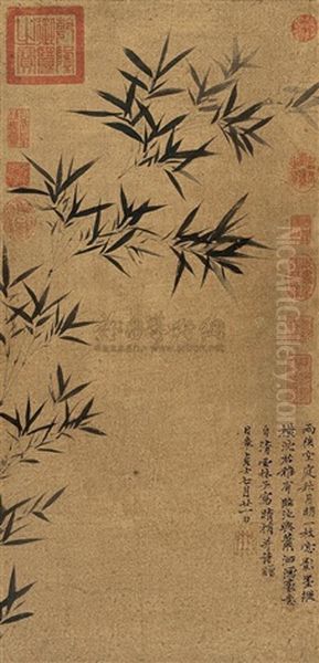 Bamboo - view 1