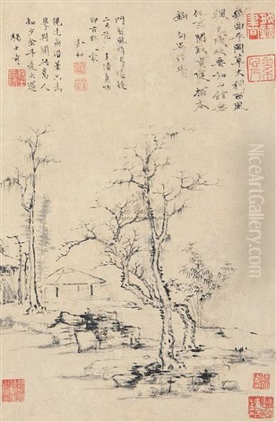 Forest Scene - view 1