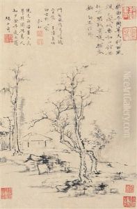 Forest Scene