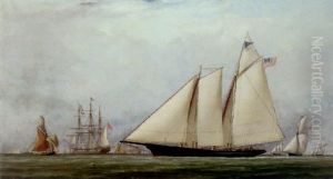 The Schooner Yacht "america" In Spithead thumbnail